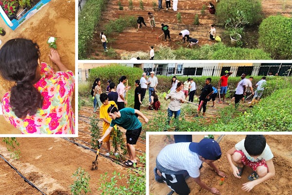 Emiratos Árabes Unidos: Los jóvenes cultivan el espíritu comunitario en un nuevo jardín
