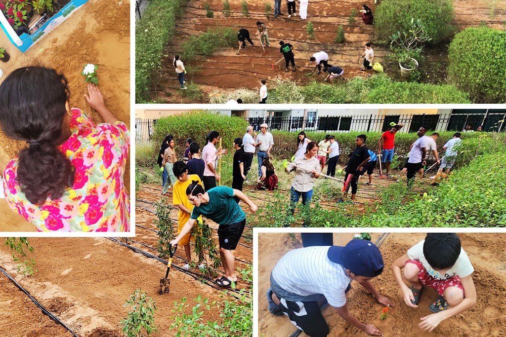Youth engaged in Bahá’í community-building activities spearhead a community garden project, nurturing community ties and improving their local environment.