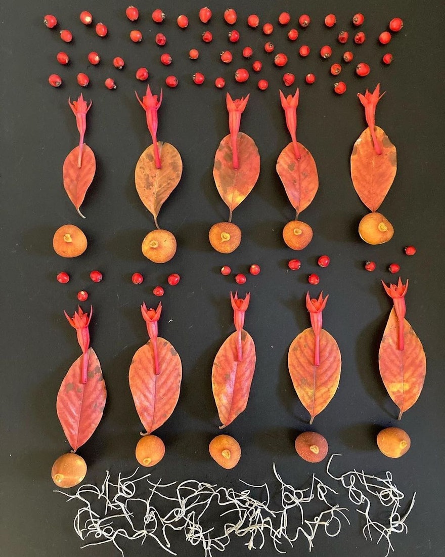 Seen here is a collection of leaves, seeds, and flowers that commemorates the 10 Bahá’í women.