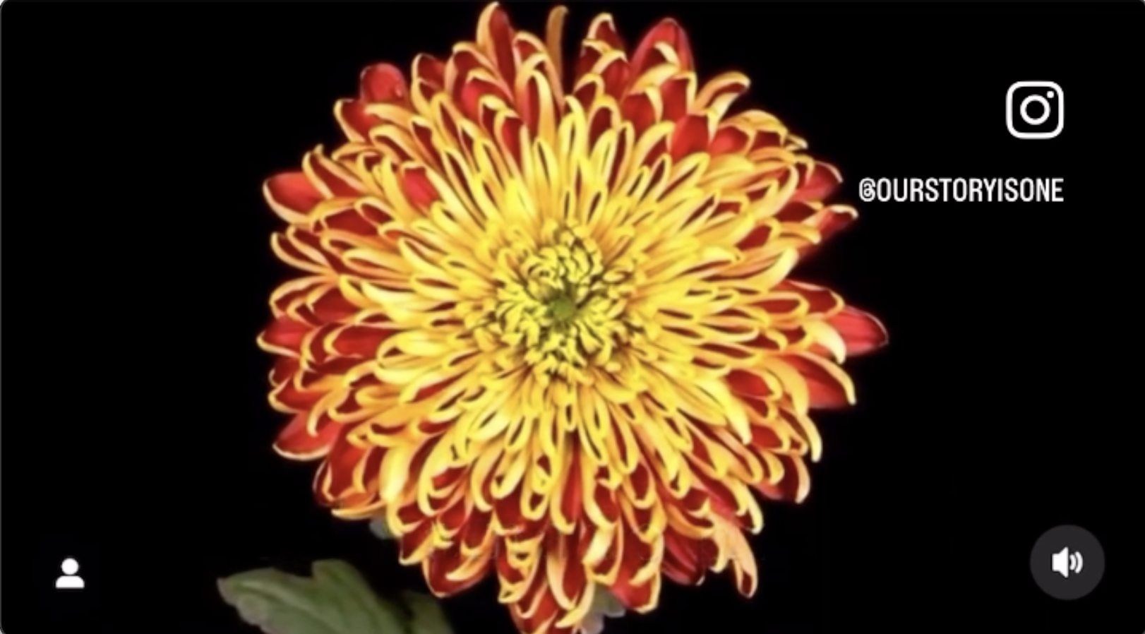 A song titled “Justicia,” honoring and commemorating the sacrifices and courage of the 10 Bahá’í women.