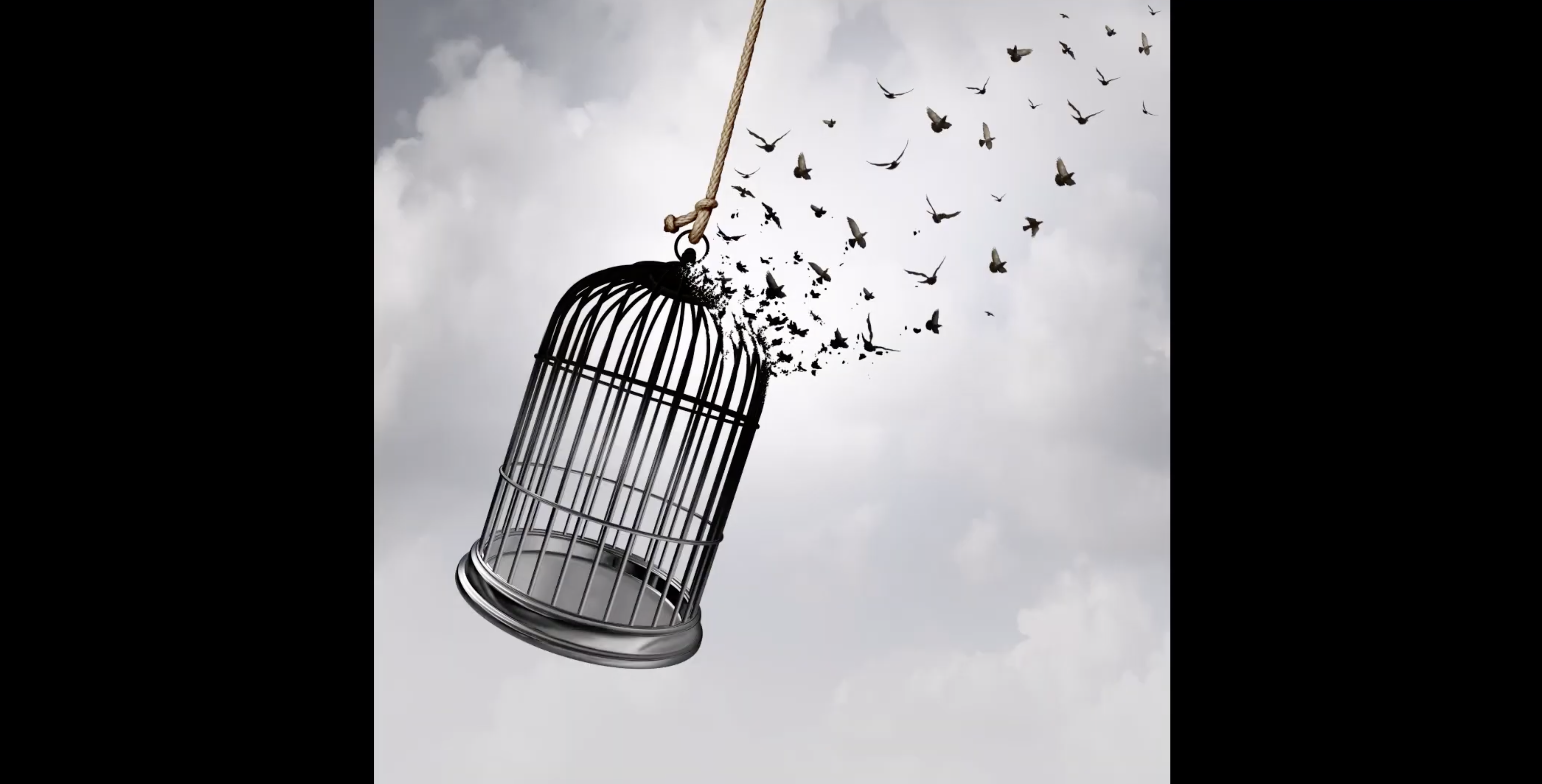 A song titled “Mona’s song” dedicated to Mona Mahmoudnejad, one of the 10 Bahá’í women of Shiraz who were hanged in a single night in Iran 41 years ago.