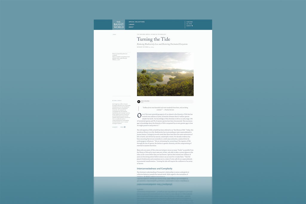 A new essay explores how individuals, communities, and institutions can contribute to a more sustainable future amid deepening environmental crises.