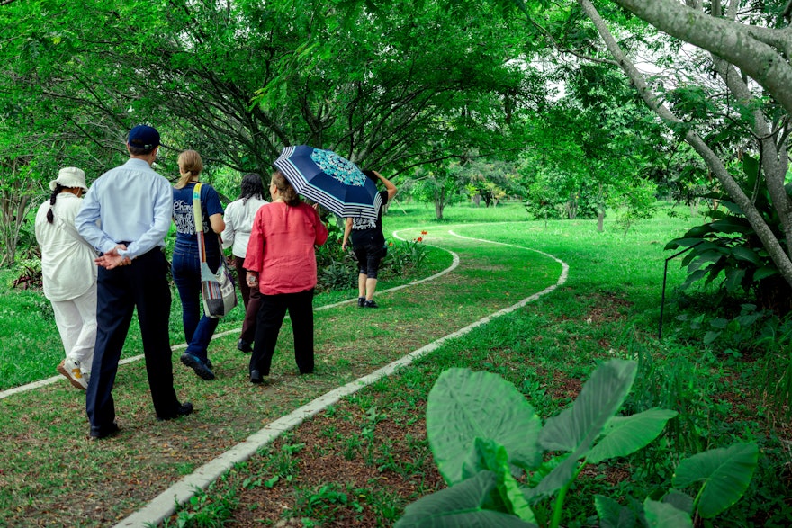 Another view of the COP16 participants who visited the native forest that is adjacent to the temple.