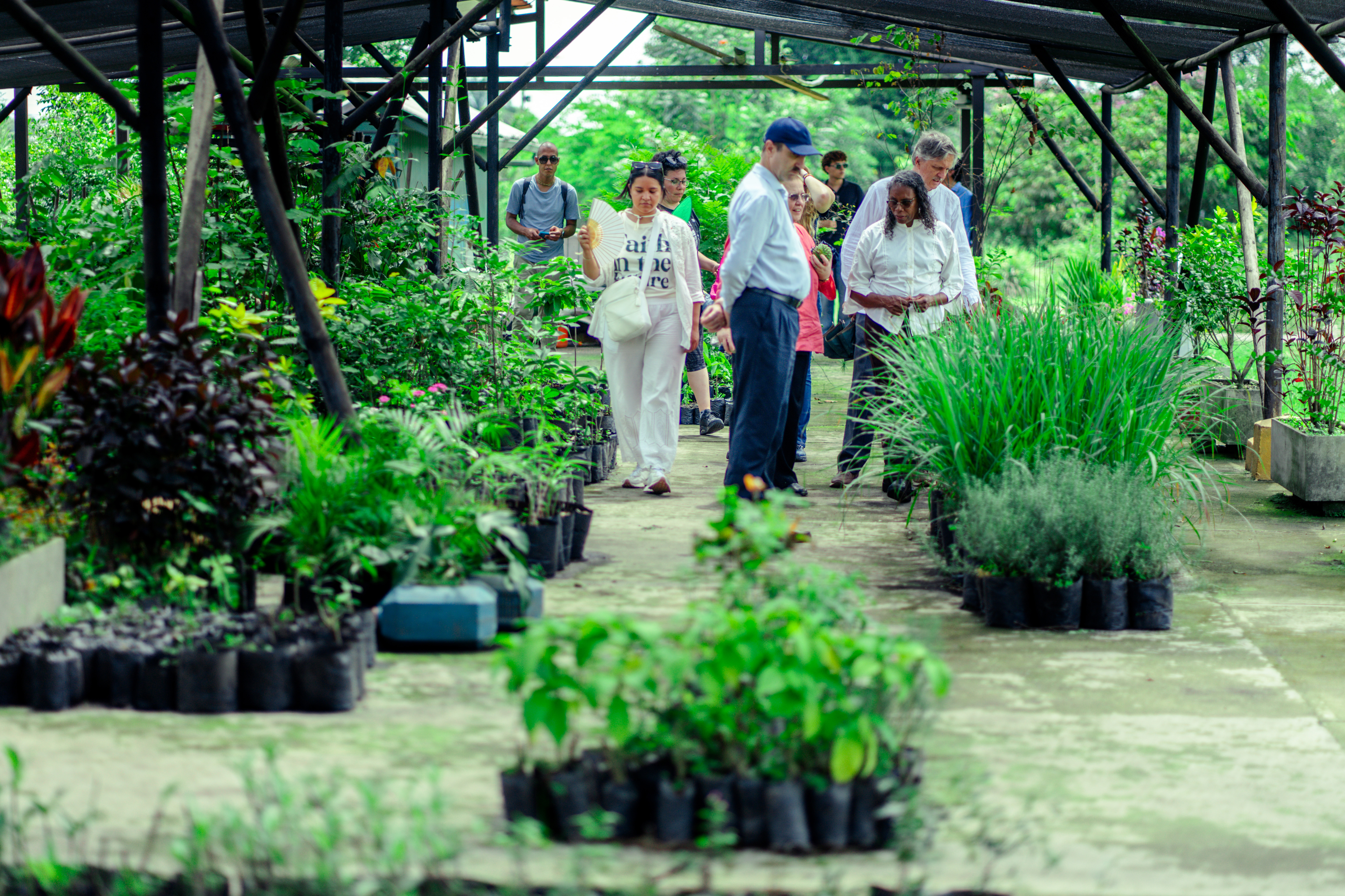 The native forest project, spanning 11.5 hectares in the Norte del Cauca region, is dedicated to restoring tropical dry forest, one of the world’s most threatened ecosystems. With over 1,500 trees planted, the initiative has revived local biodiversity, attracting 50 bird species and recovering 15 native plant species, with 19 more currently in the process of recovery.