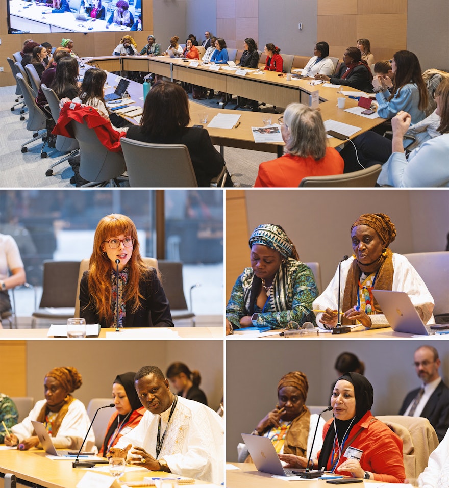 In collaboration with the BIC and co-sponsored by the Government of Canada, the Bahá’í Office of Public Affairs of Canada held a parallel event exploring three decades of progress toward gender equality in Canada.