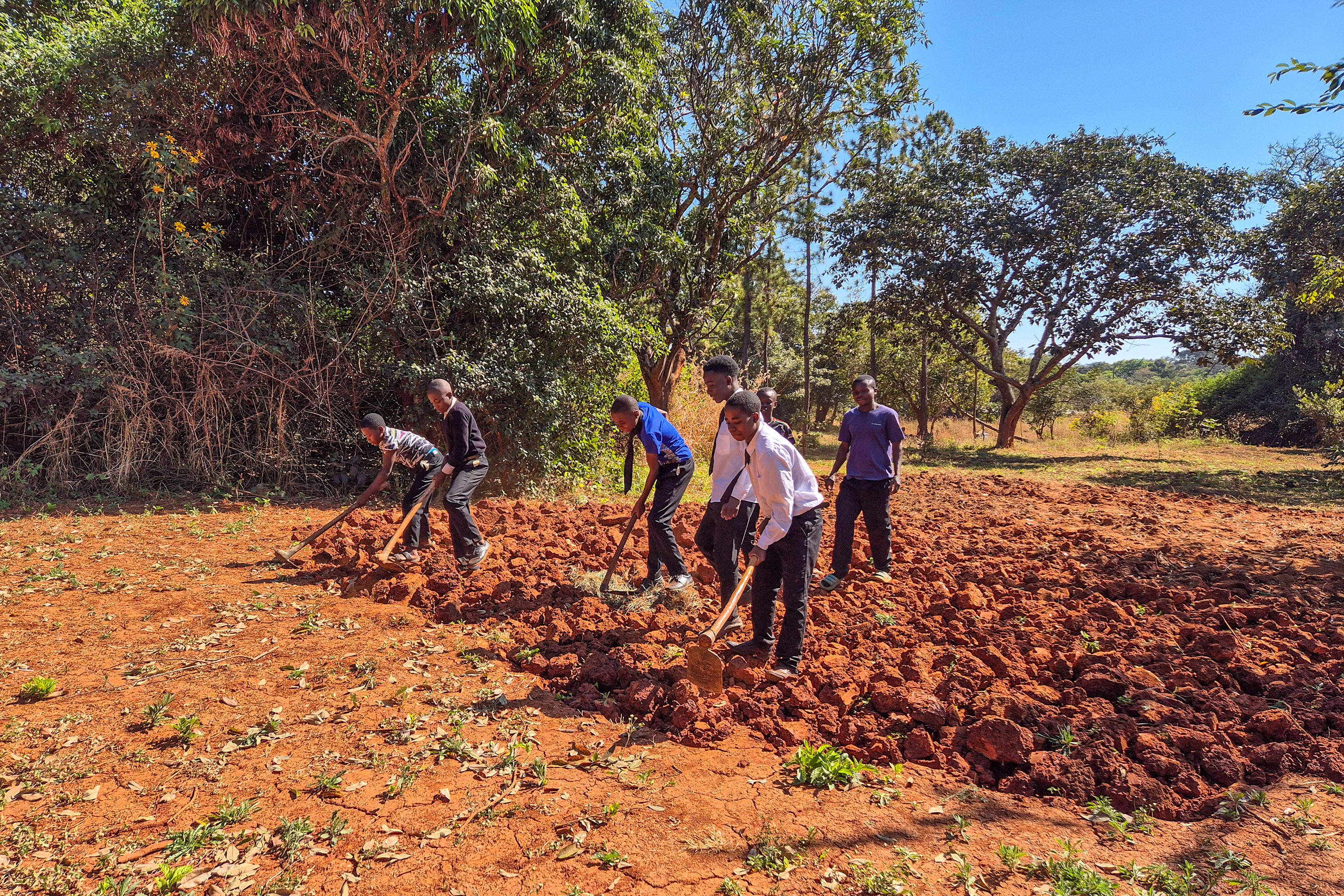 Dans le cadre de leur cours d’agronomie, les élèves préparent le terrain pour la plantation de cultures.