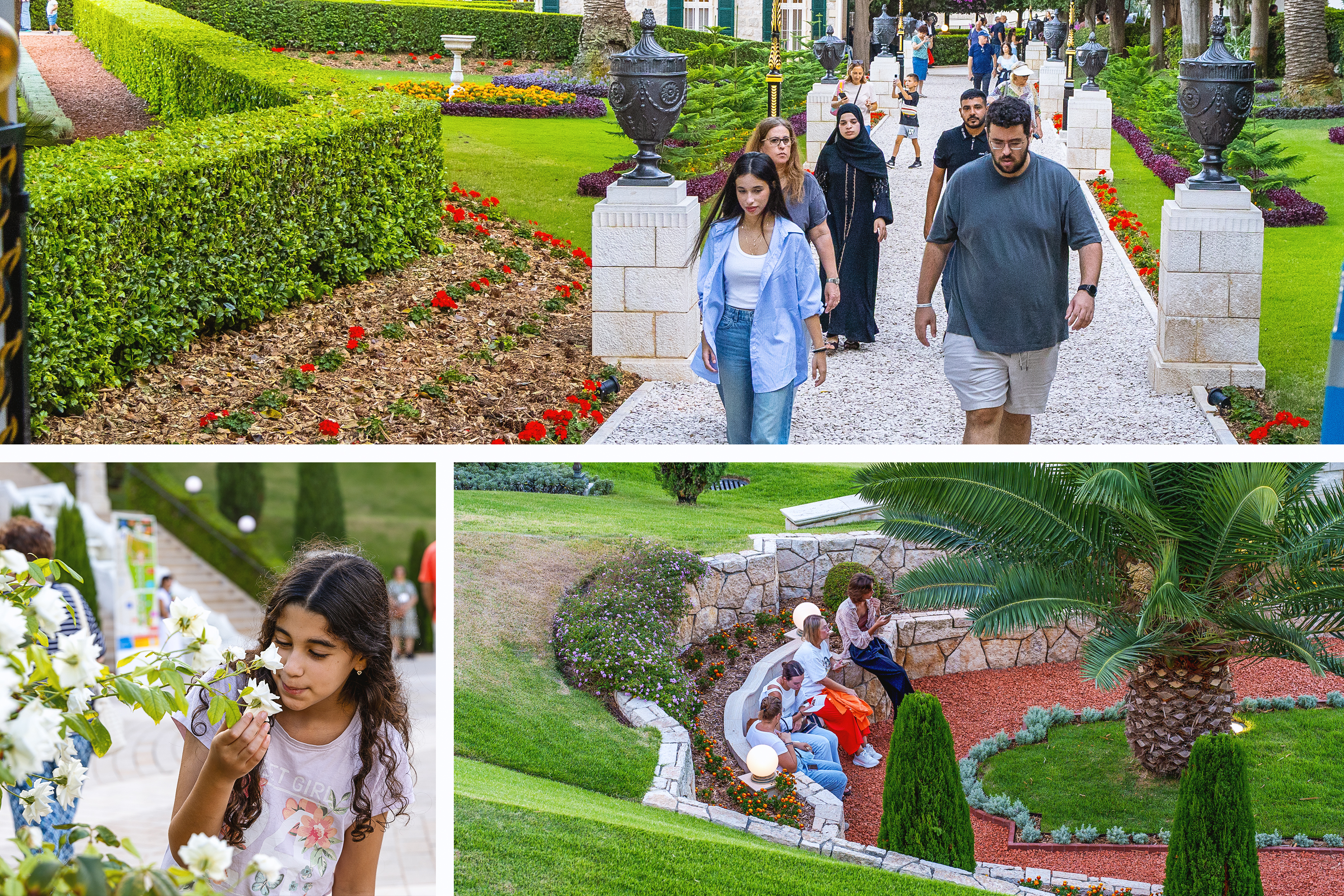 Amid the gardens surrounding the Shrine of the Báb, visitors from all backgrounds find a moment of serenity. 