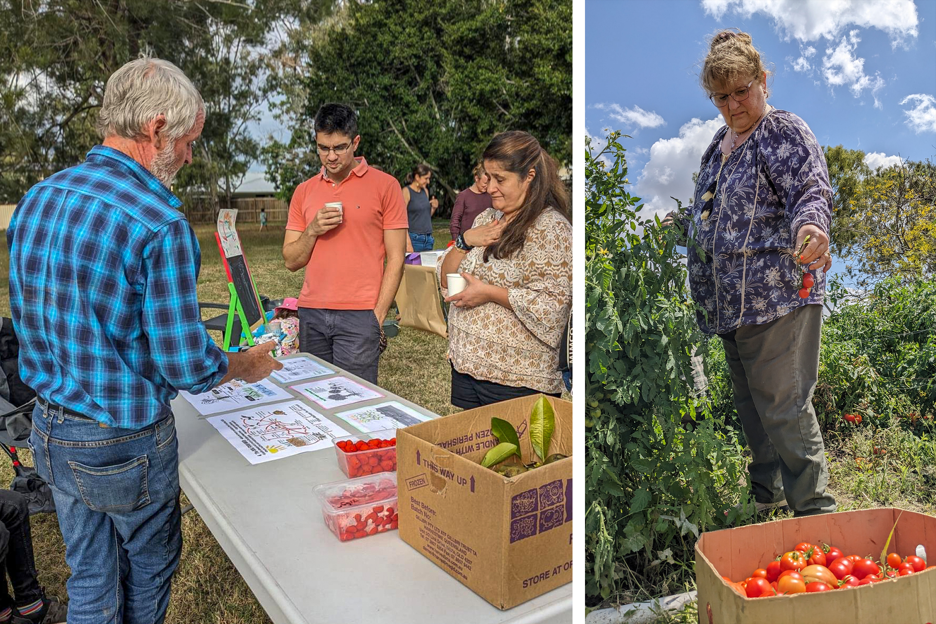 Les participants prennent part à des activités agricoles durables, notamment à la permaculture, dans le cadre des efforts visant à promouvoir le bien-être de la communauté.