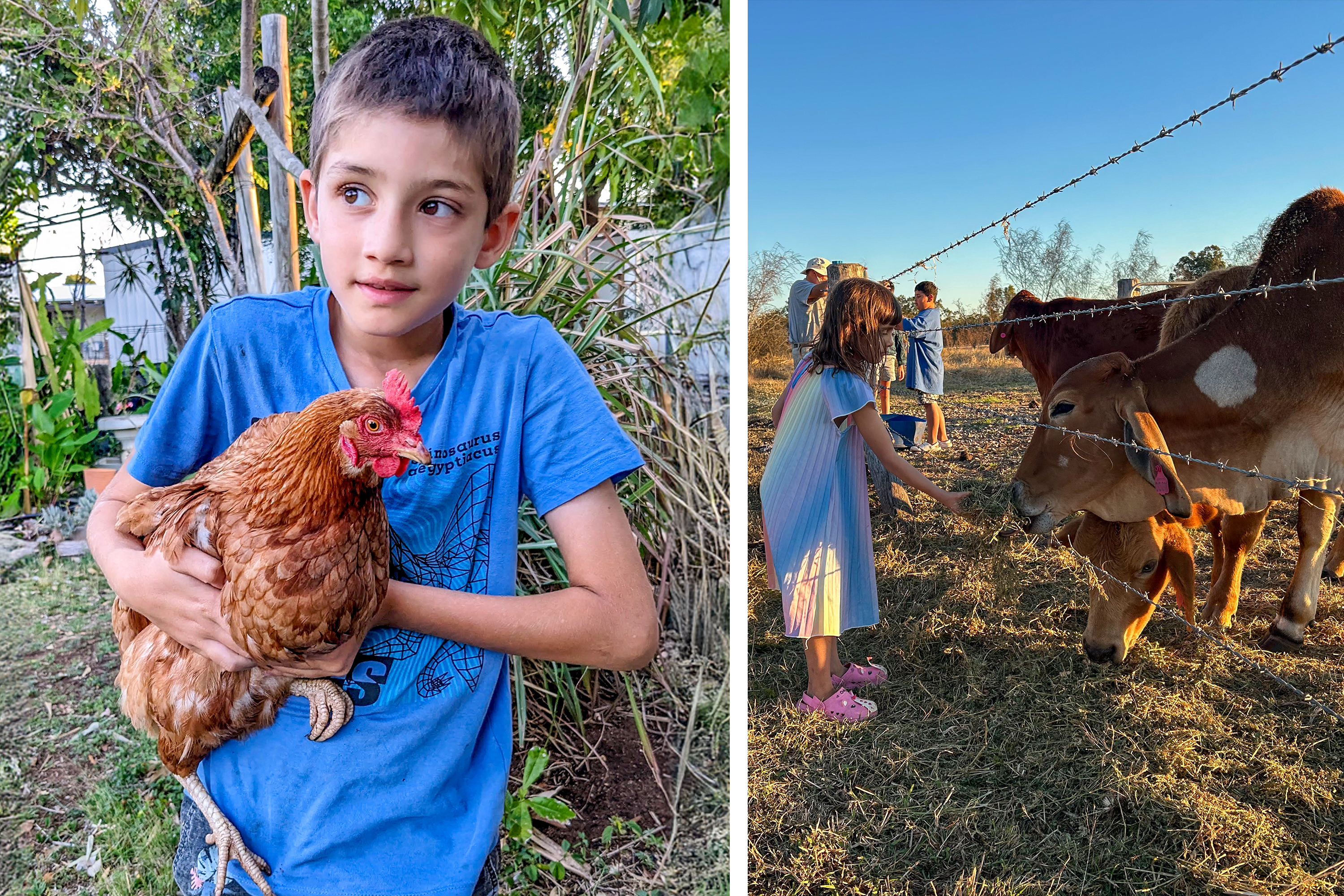 Les jeunes et les enfants participent à des activités agricoles, notamment au projet « Community Chook (chicken) Pen » (poulailler communautaire), qui fournit des œufs, de l’engrais et un espace de dialogue et de rencontre.