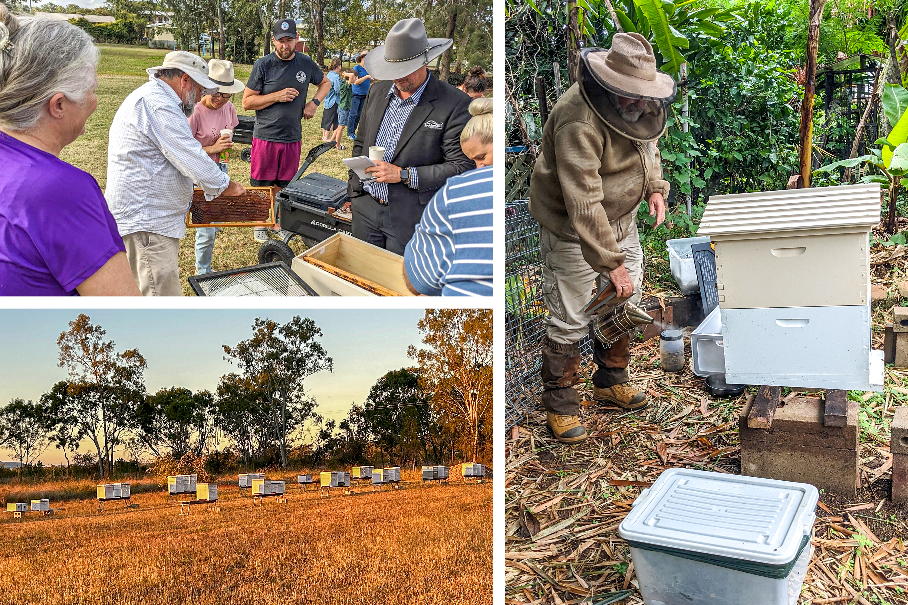 Une démonstration d’apiculture initie les participants à des pratiques durables qui favorisent le respect de l’environnement.
