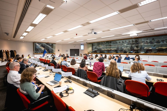 BIC Brussels: Recognizing youth as vital participants in promoting racial harmony BIC Brussels: Recognizing youth as vital participants in promoting racial harmony