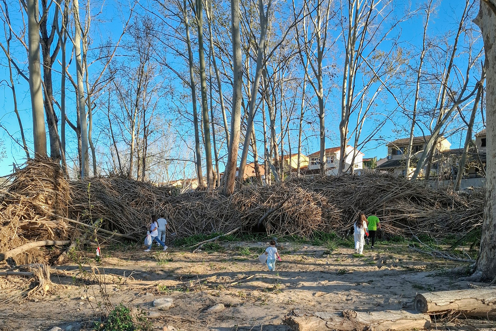 A youth group engaged in Bahá’í moral and spiritual educational programs cleaned riverbanks in Ribarroja, where the river had overflowed, inspiring broader community involvement.