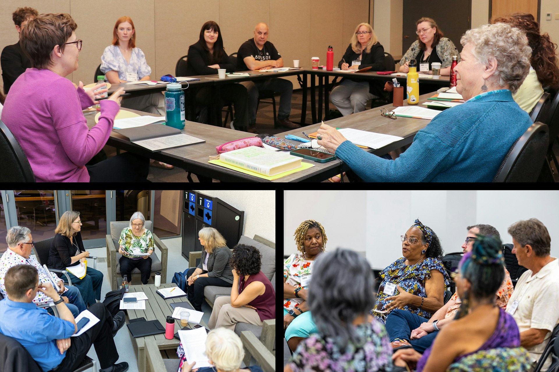 Participants explored consultation as an approach to the collective search for truth.