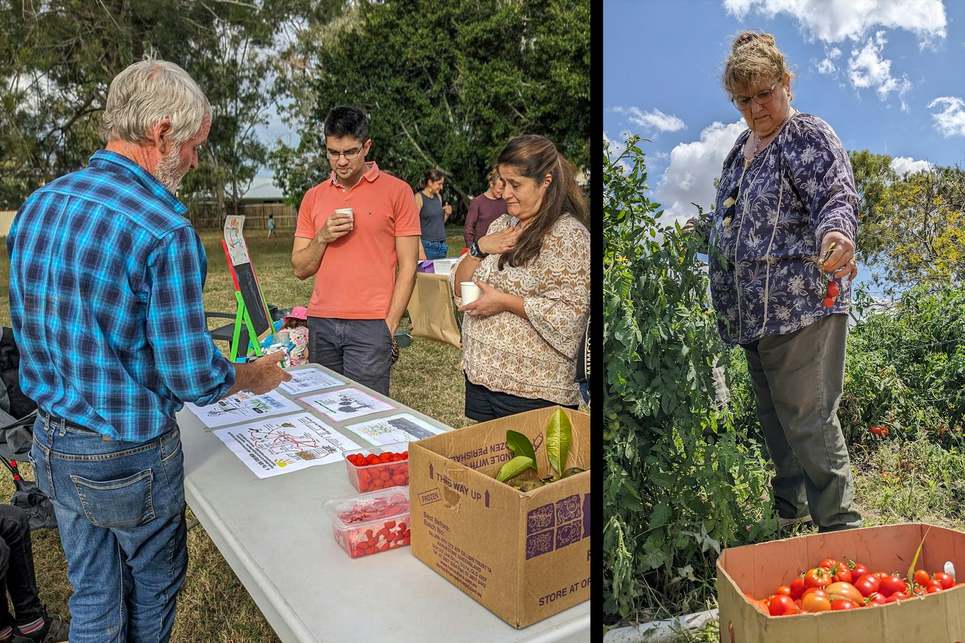 Participants take part in permaculture farming and other sustainable agricultural activities as part of efforts to promote community well-being.