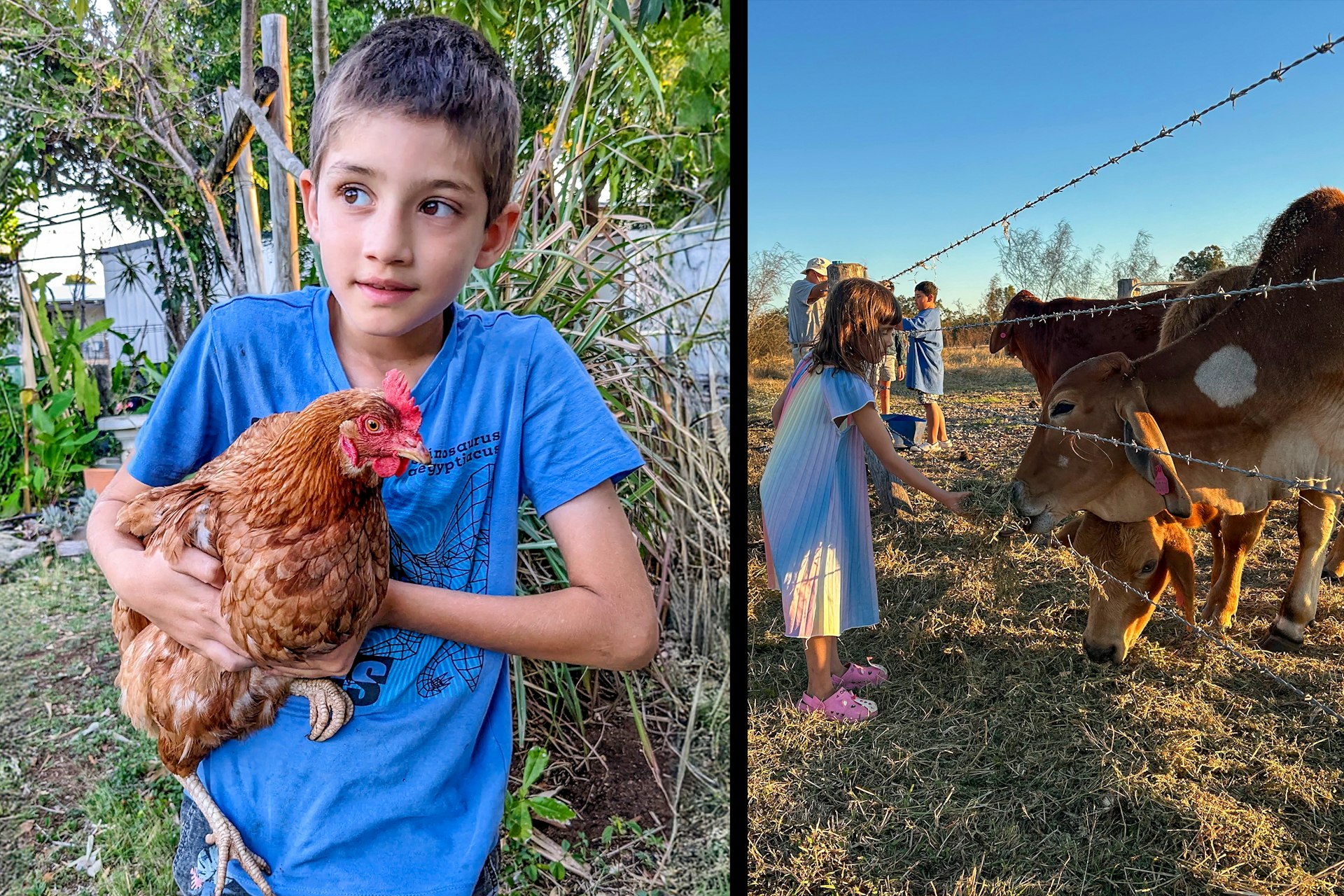 Young people and children participate in agricultural activities, including the “Community Chook (chicken) Pen” project, which provides eggs, fertilizer, and a space for conversation and connection.
