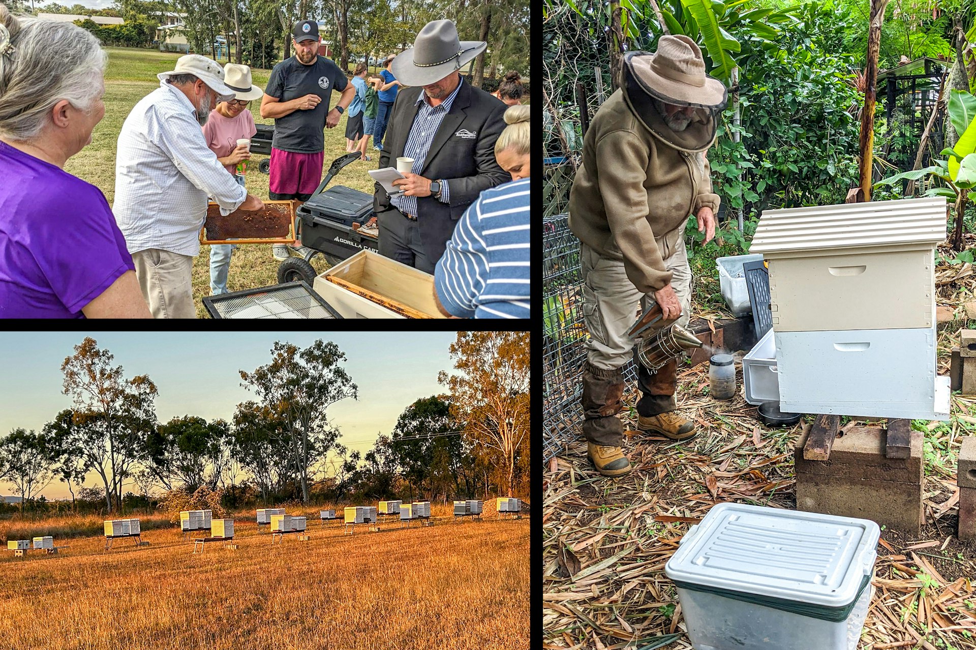 A beekeeping demonstration introduces participants to sustainable practices that foster care for the environment.