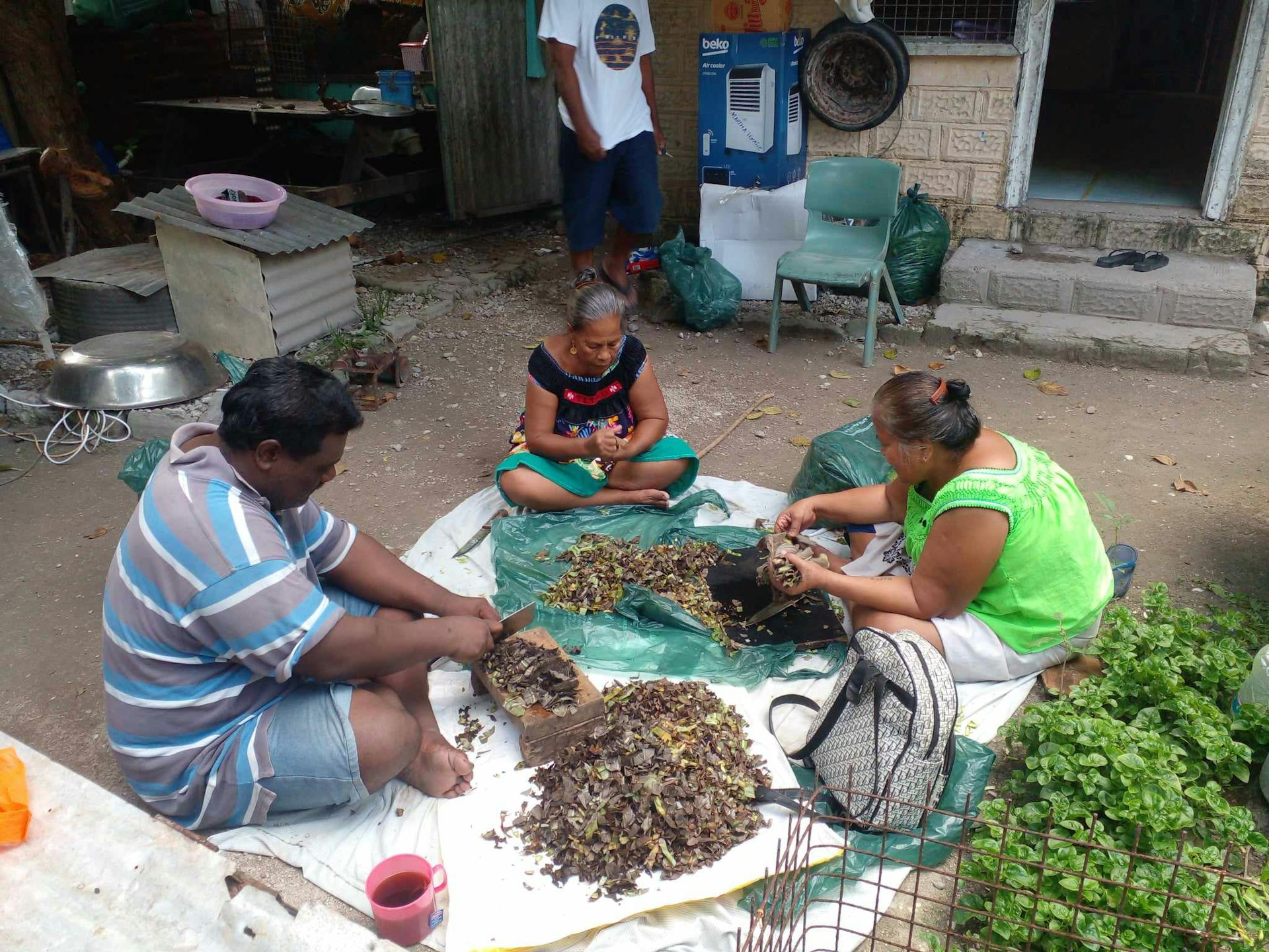 A glimpse of a social action initiative in Kiribati inspired by participation in Bahá’í community-building efforts.