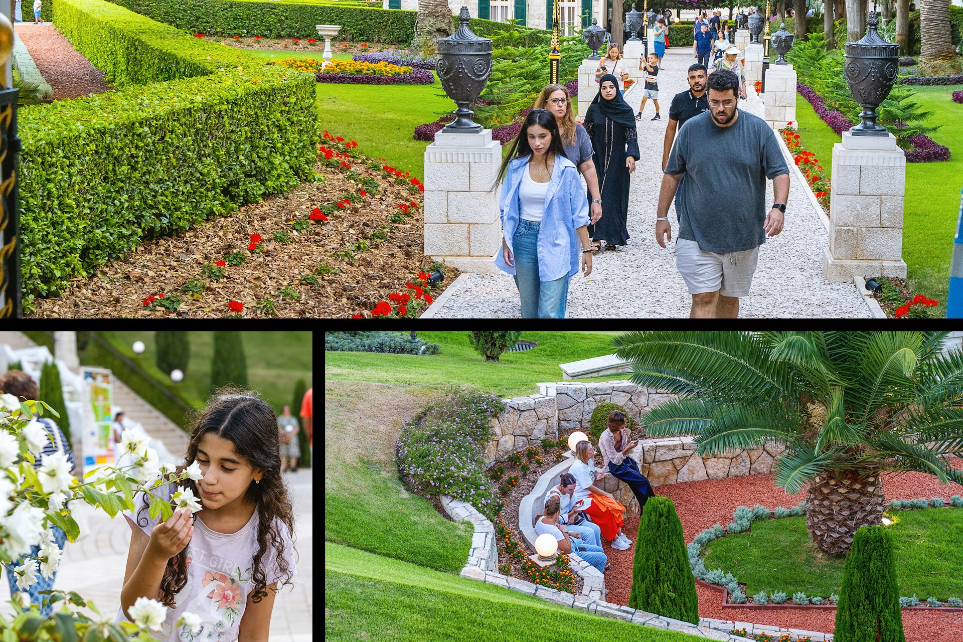 Amid the gardens surrounding the Shrine of the Báb, visitors from all backgrounds find a moment of serenity.