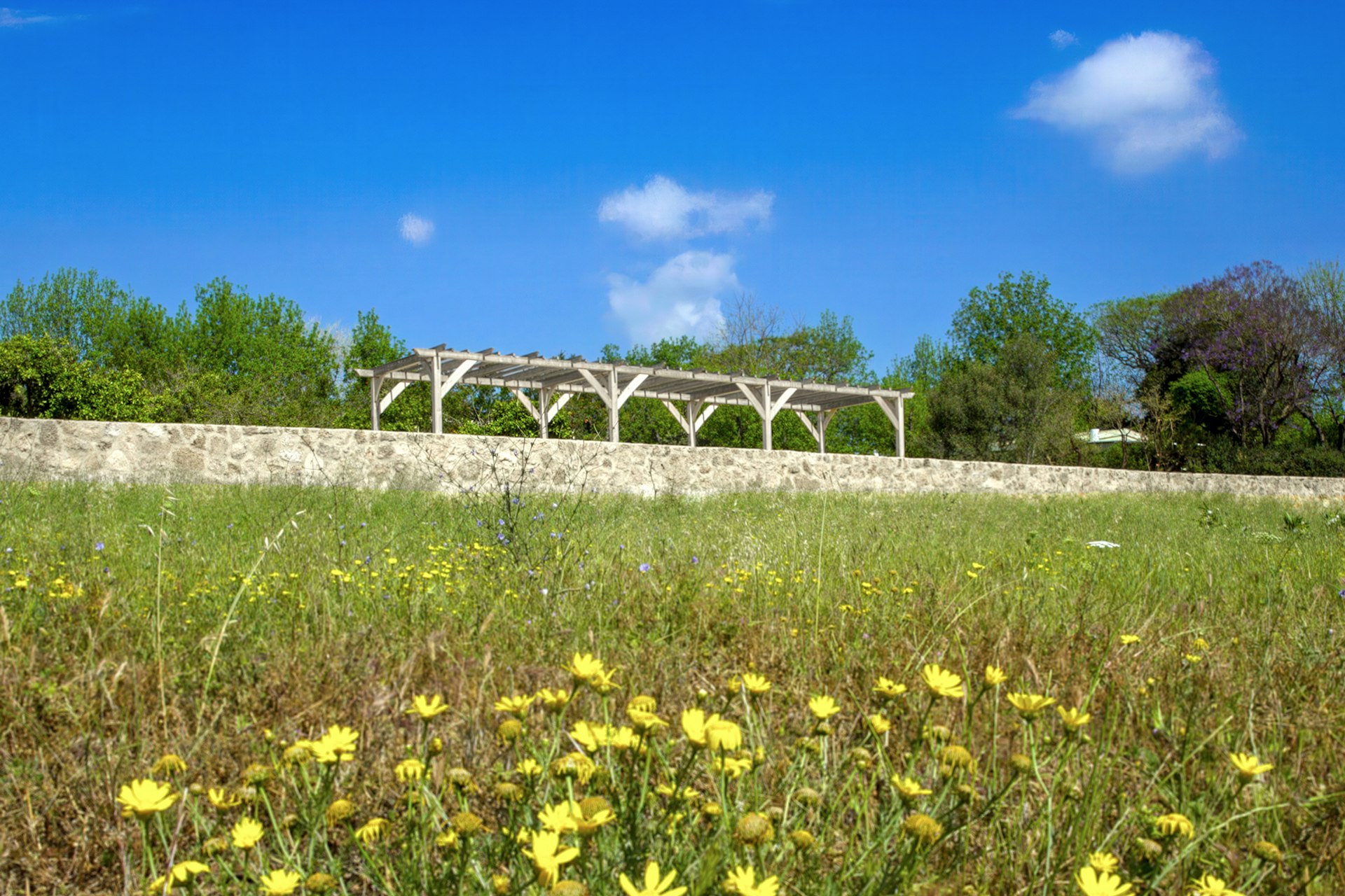 The northern area features a meditative space with a pergola that serves as a vantage point overlooking a meadow.