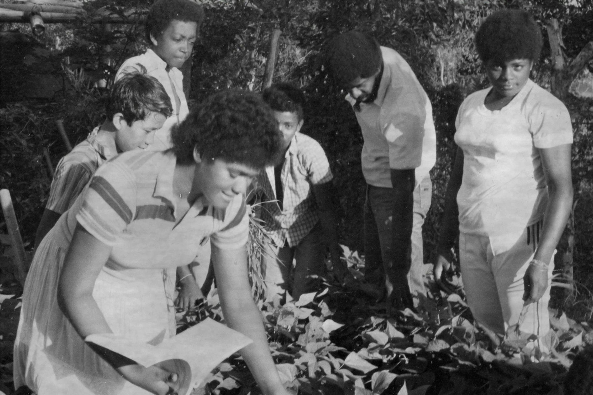 Early experiences of FUNDAEC’s work alongside rural communities, where material and spiritual education fostered a conviction that every human being possesses latent capacities that can be awakened and directed toward the common good.