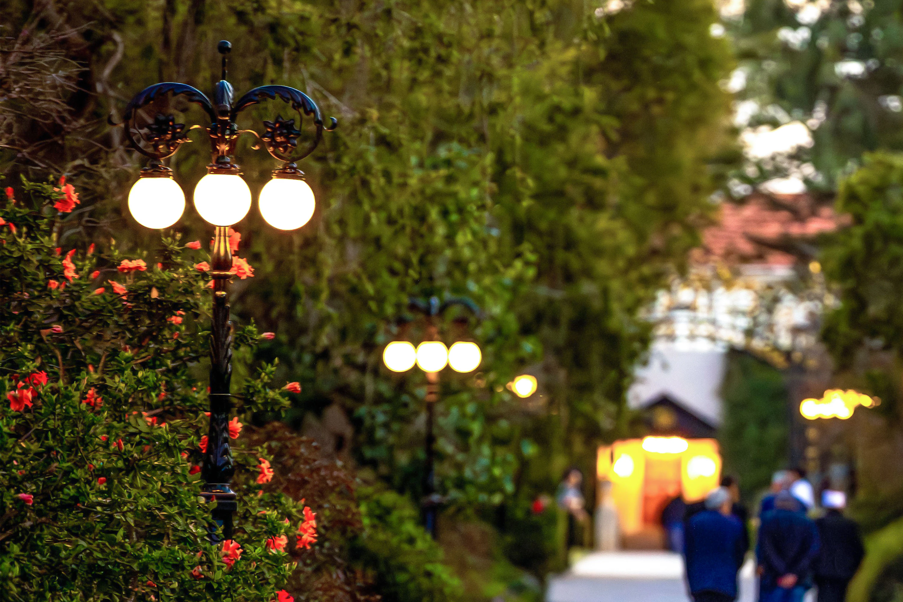 Vue des jardins à proximité du tombeau de Bahá’u’lláh.