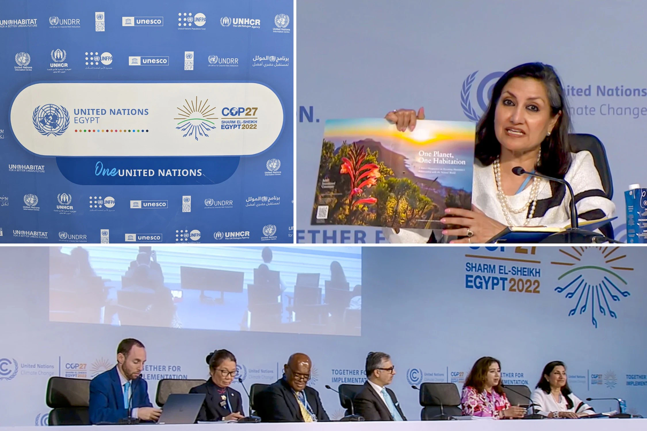 Lors du sommet sur le climat COP27 qui s’est tenu en Égypte en 2022, la délégation de la Communauté internationale bahá’íe a pris part à de nombreux débats, soulignant la nécessité pour l’humanité de repenser sa relation avec le monde naturel.