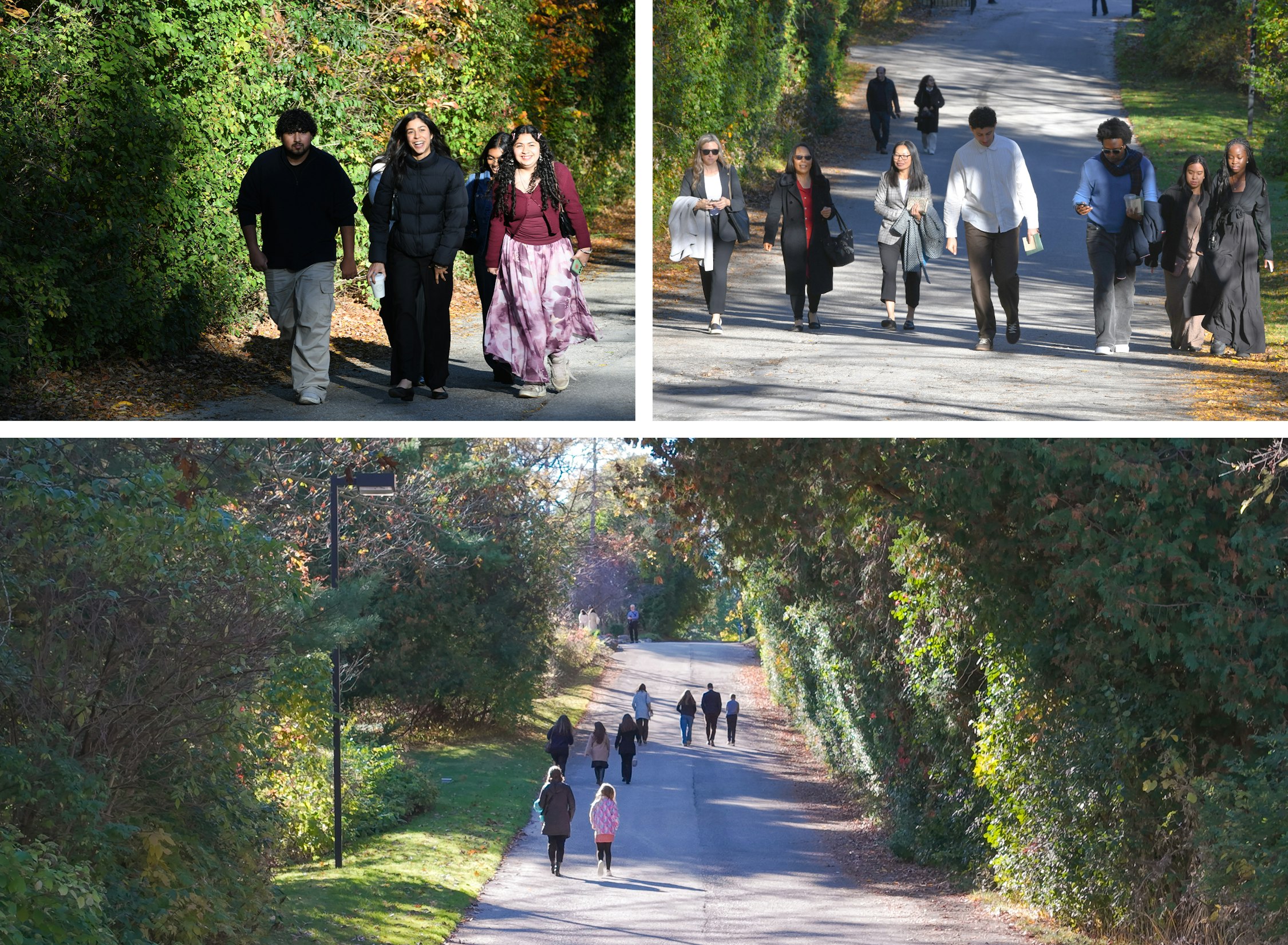 Des invités arrivent à Markham, en Ontario, pour le dévoilement du projet de la maison d’adoration bahá’íe nationale du Canada.