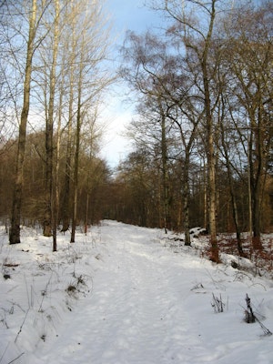 Castle Estate in snow