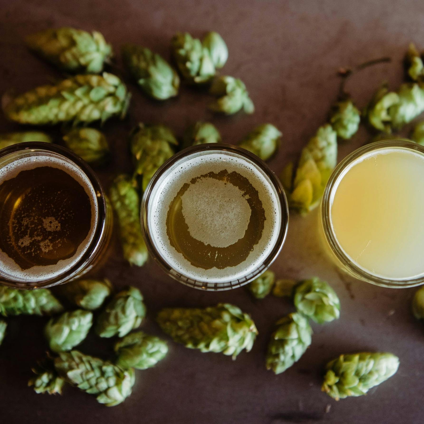 Immagine con 3 bicchieri di birra visti dall'alto e tutto intorno ad essi molti luppoli verdi