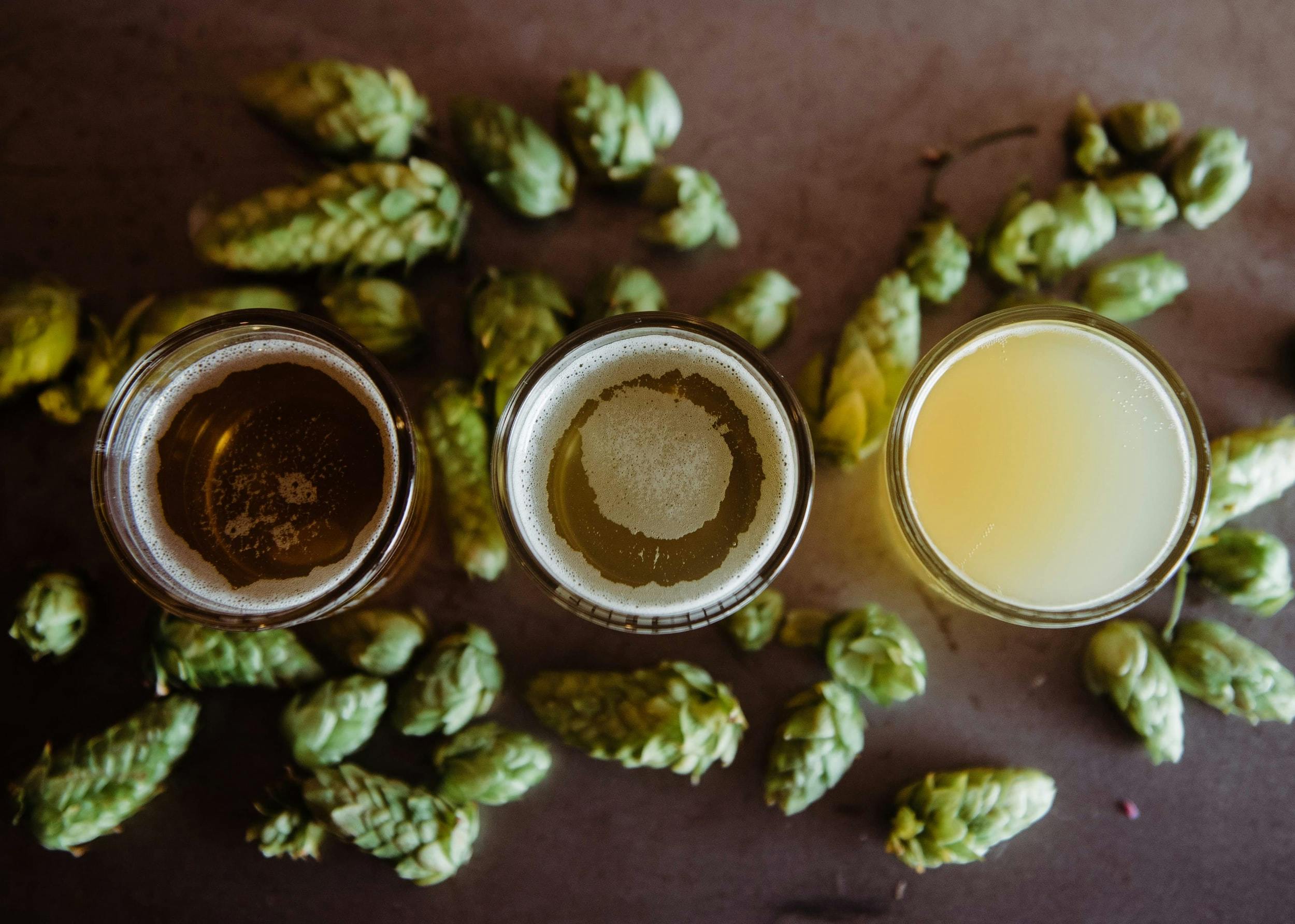 Immagine con 3 bicchieri di birra visti dall'alto e tutto intorno ad essi molti luppoli verdi