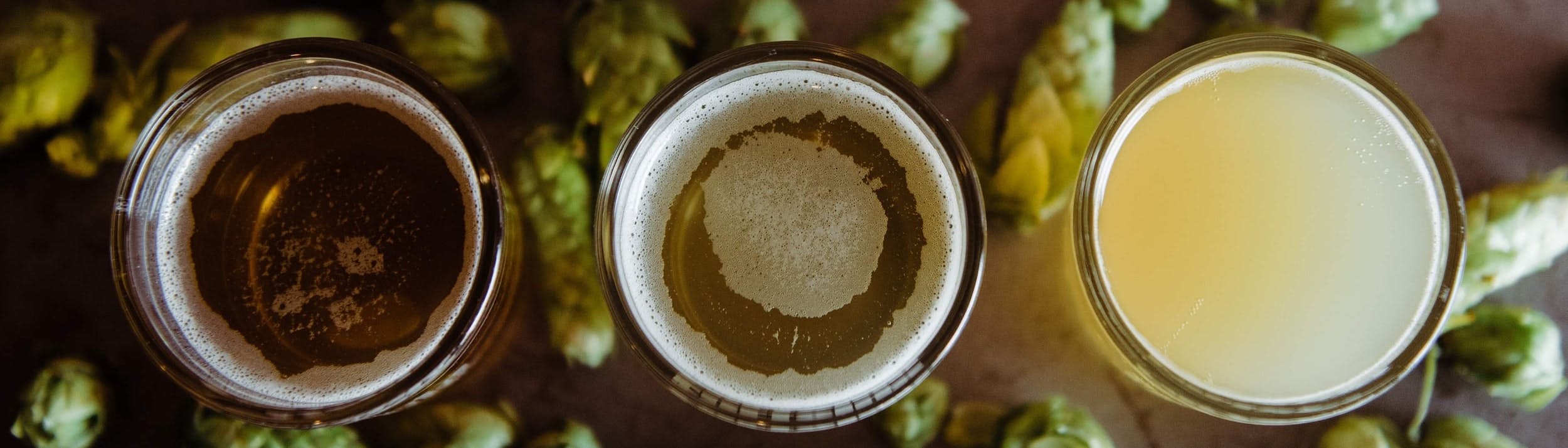 Immagine con 3 bicchieri di birra visti dall'alto e tutto intorno ad essi molti luppoli verdi
