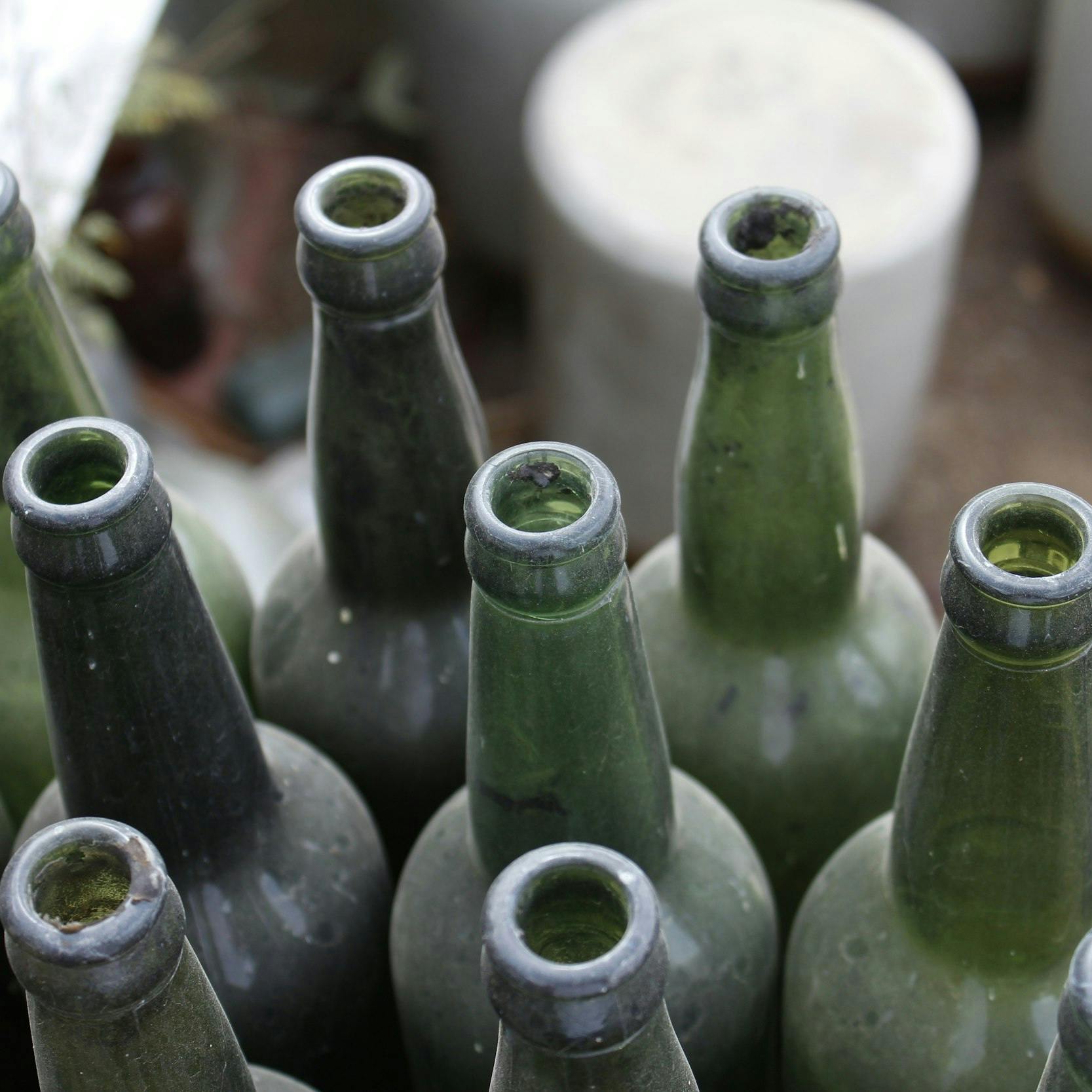 Bottiglie in vetro di colore verde, stappate e sporche di polvere.