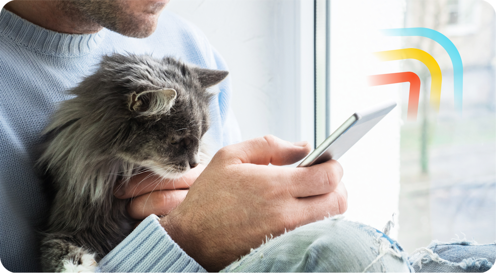 gatto che guarda telefonino di Alma