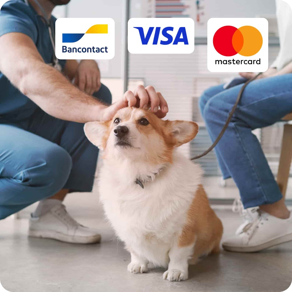 Alma accepte tous les moyens de paiement (Bancontact, Visa, Mastercard) entre 50€ et 3000€ pour faciliter les dépenses imprévues
