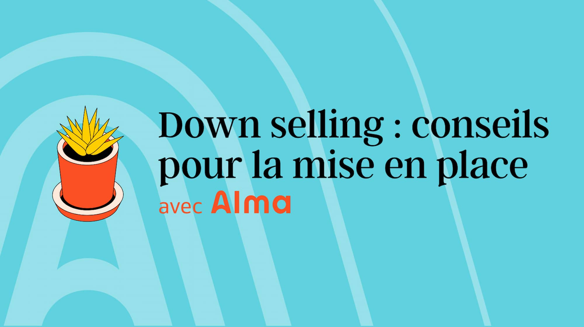 Image de couverture pour le down selling