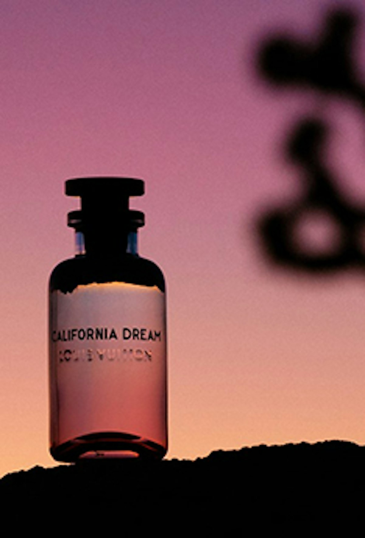 California Dream: the fragrance novelty from Louis Vuitton