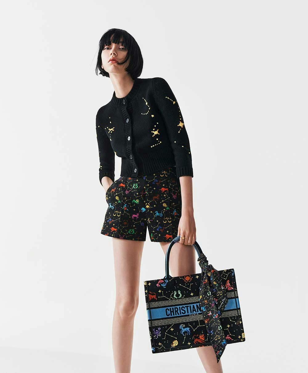 christian dior zodiac bag