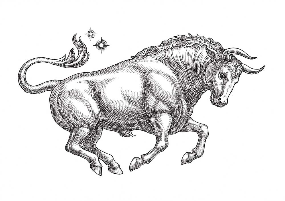 Taurus Full Moon Eclipse This Is What We Need To Do 2022