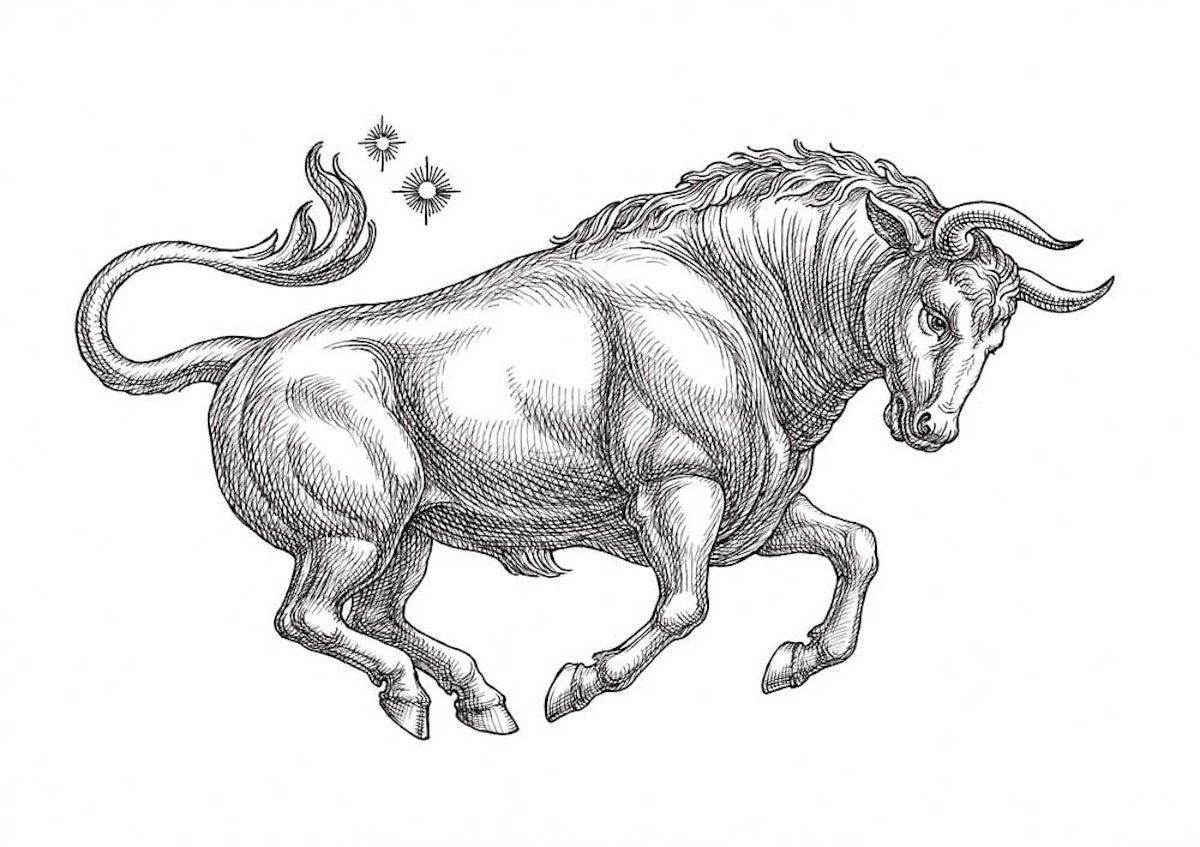 Taurus Full Moon Eclipse This is what we need to do! (2022)