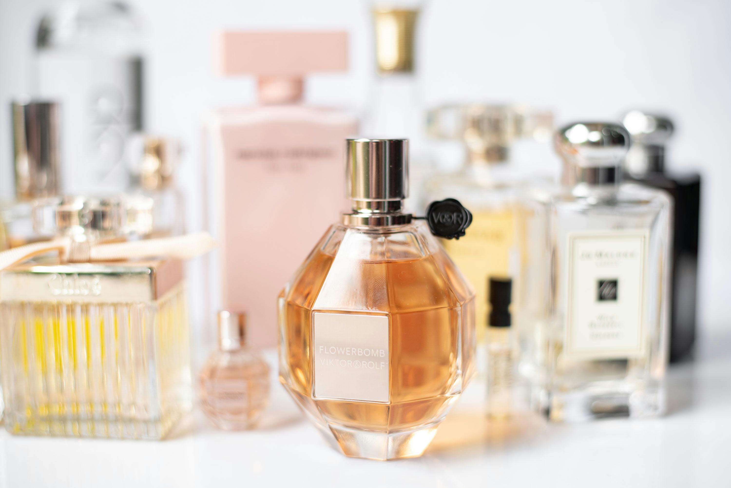 Bella Vita Perfume Notes Perfume Brands Best Fragrance For