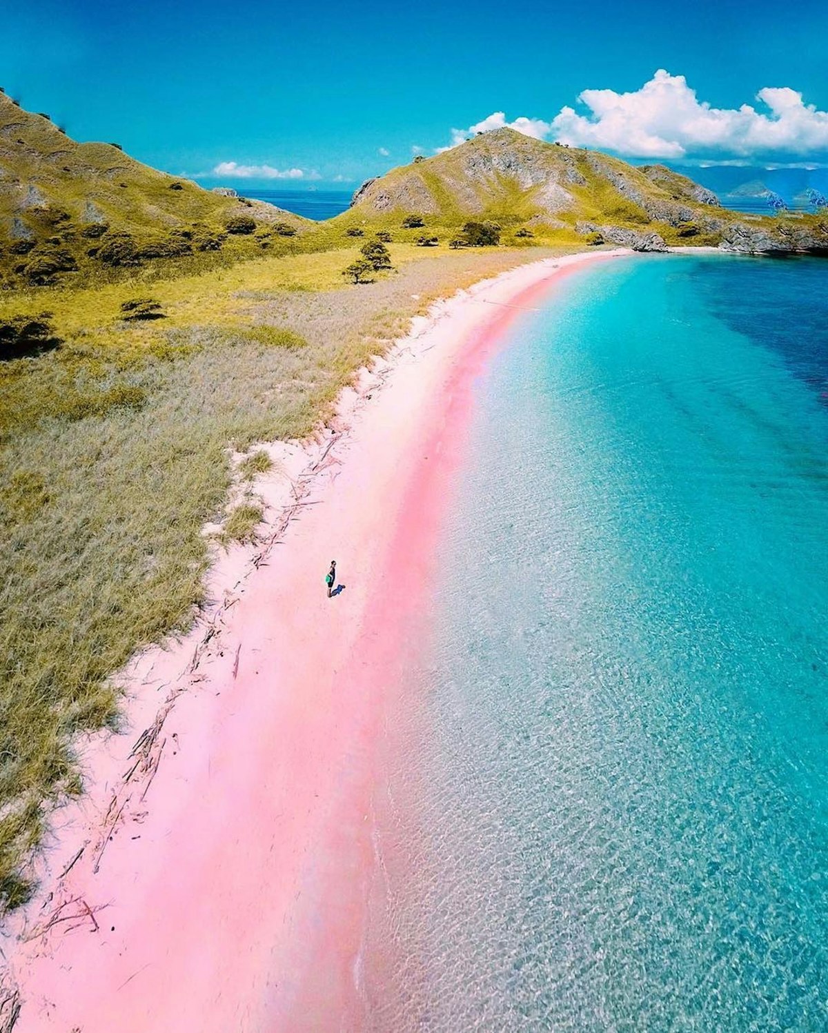 Kaal Gewoon overlopen Acquiesce Van roze naar groen: dit zijn de kleurrijkste stranden ter wereld