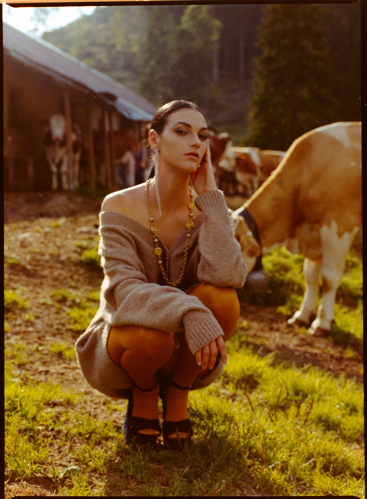 Editorial: ARCADIA