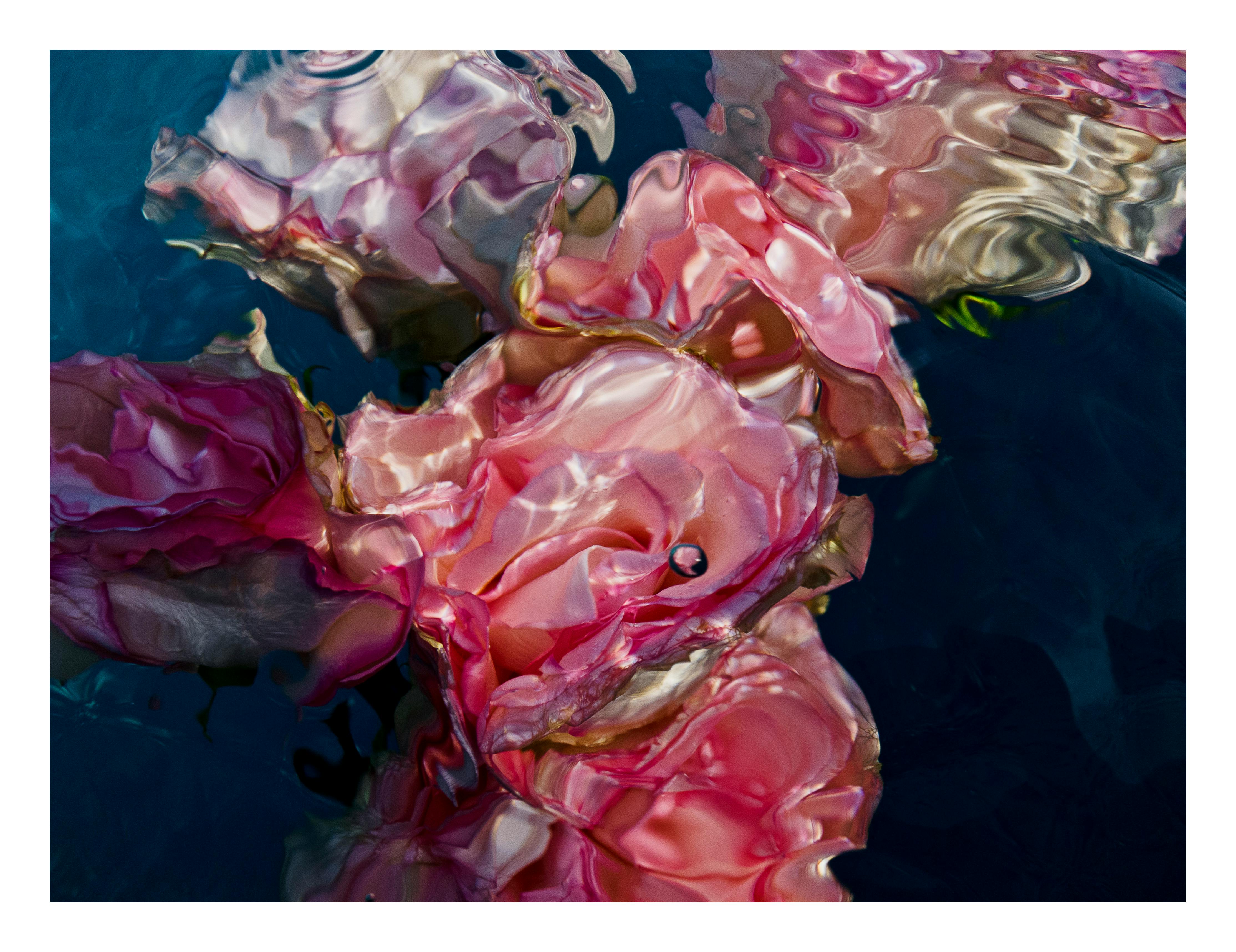In Bloom And Obsessed With Water