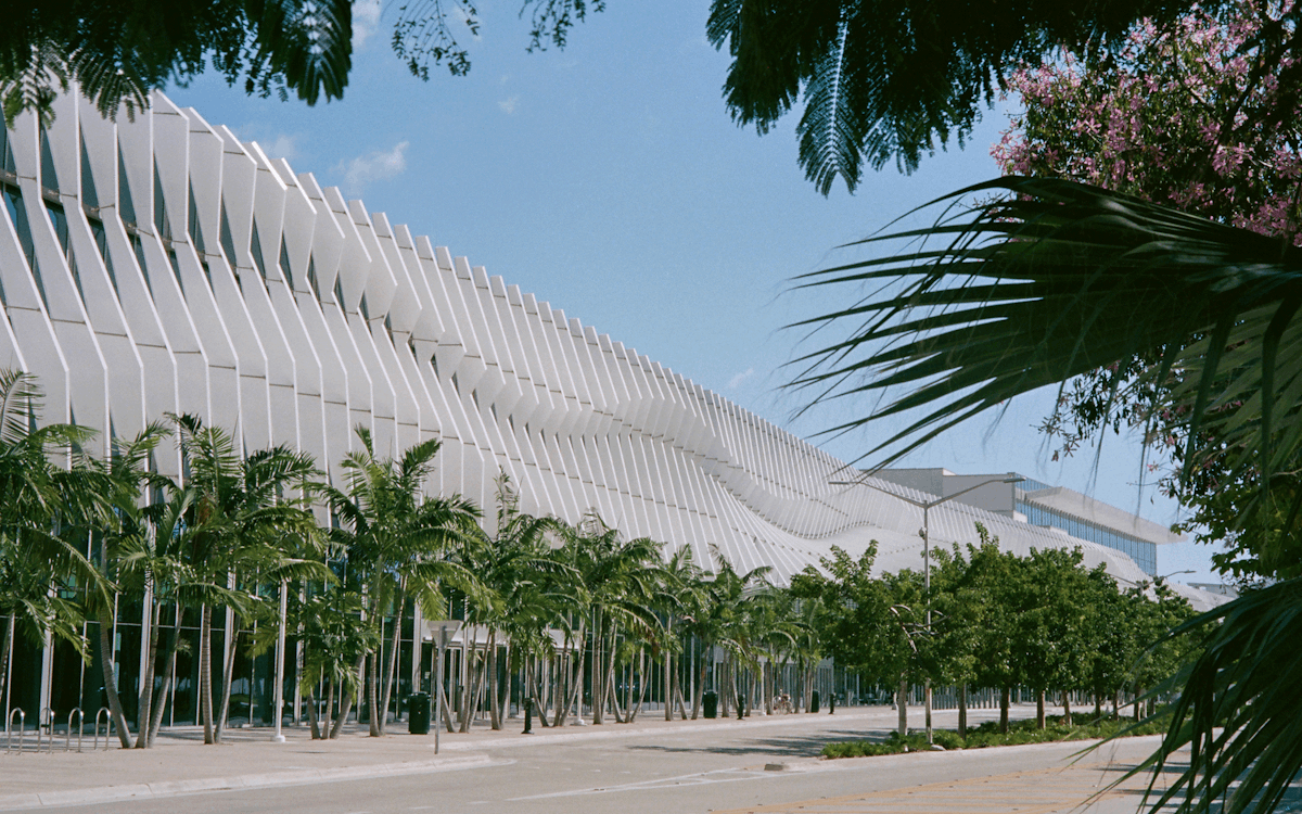 The Best Of Art Basel Miami Beach 2024