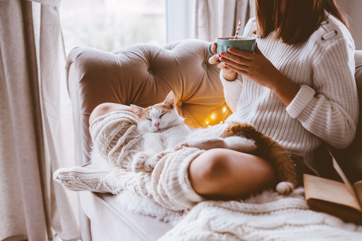 Philosophy of Comfort Around The World