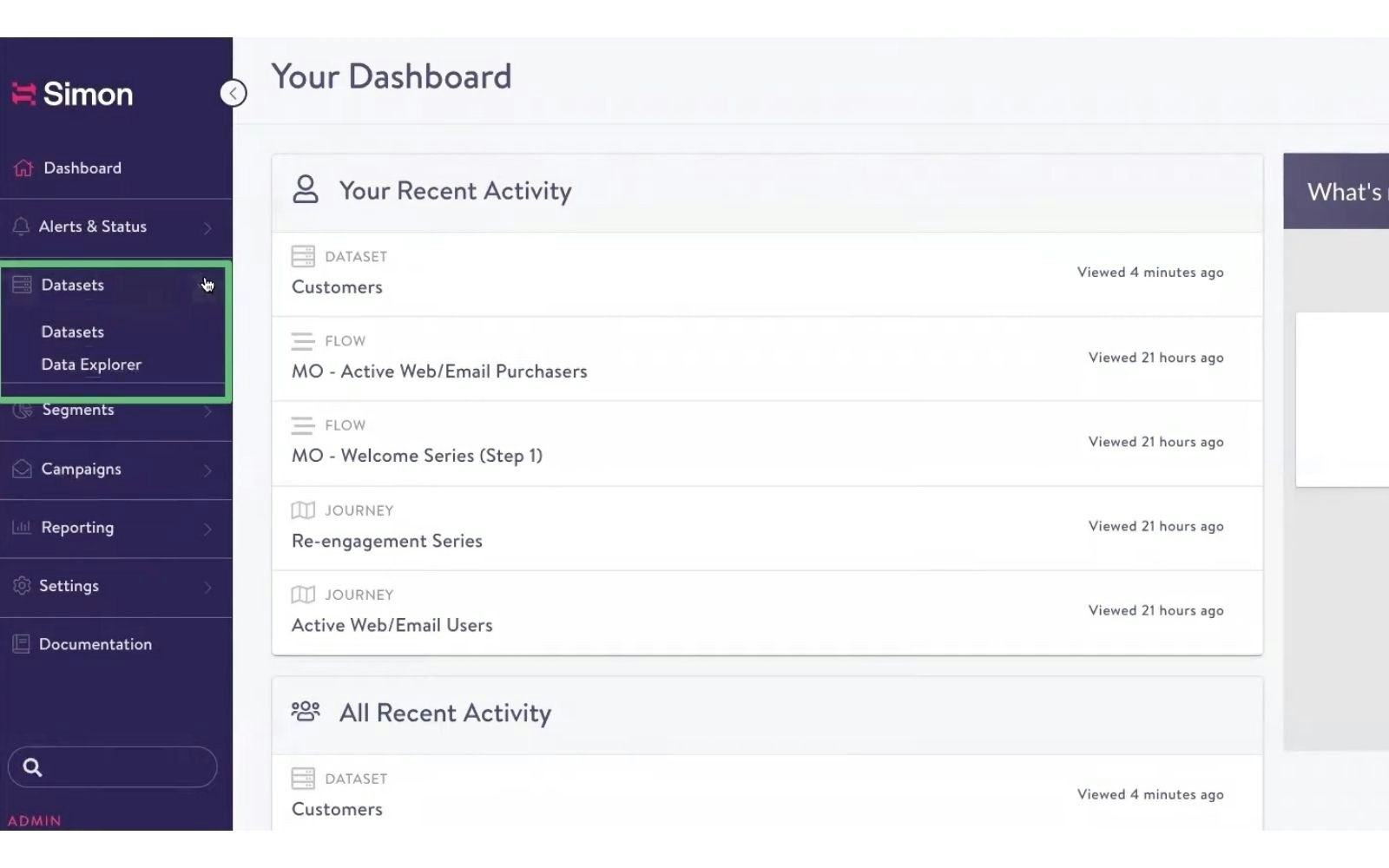 datasets Simon Data interface
