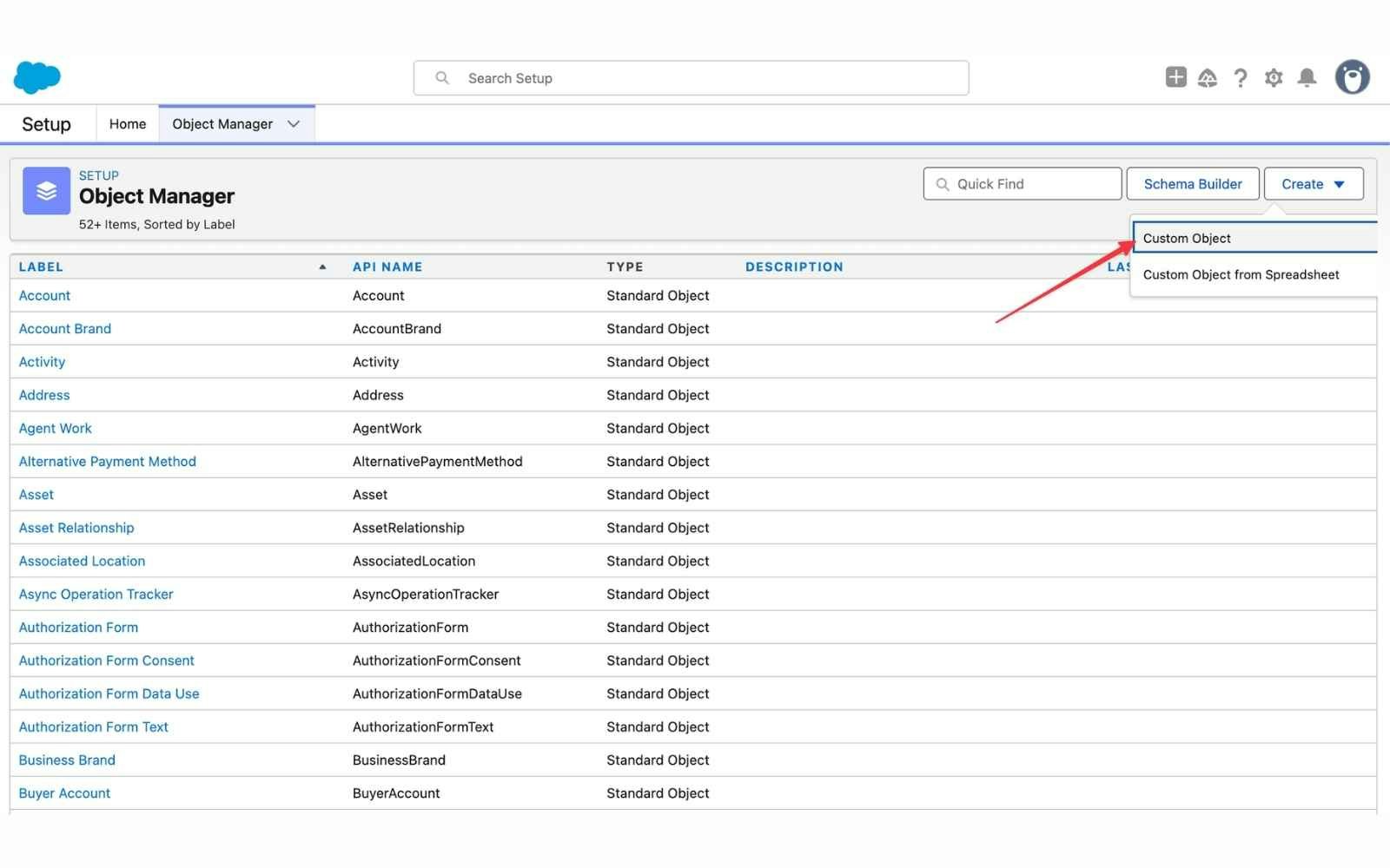 Salesforce custom objects