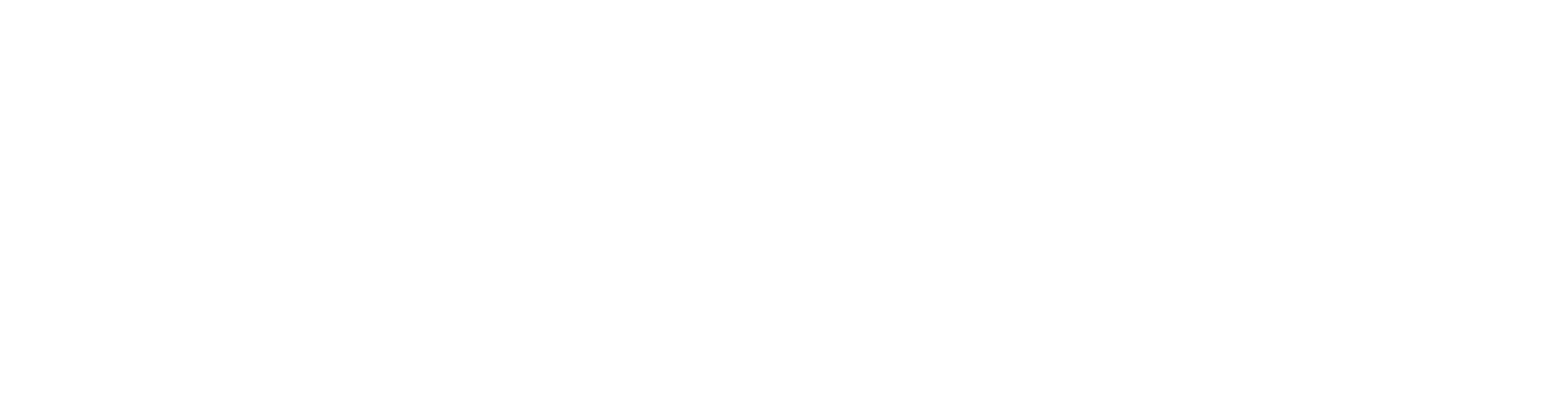 Cruiser club partner logo