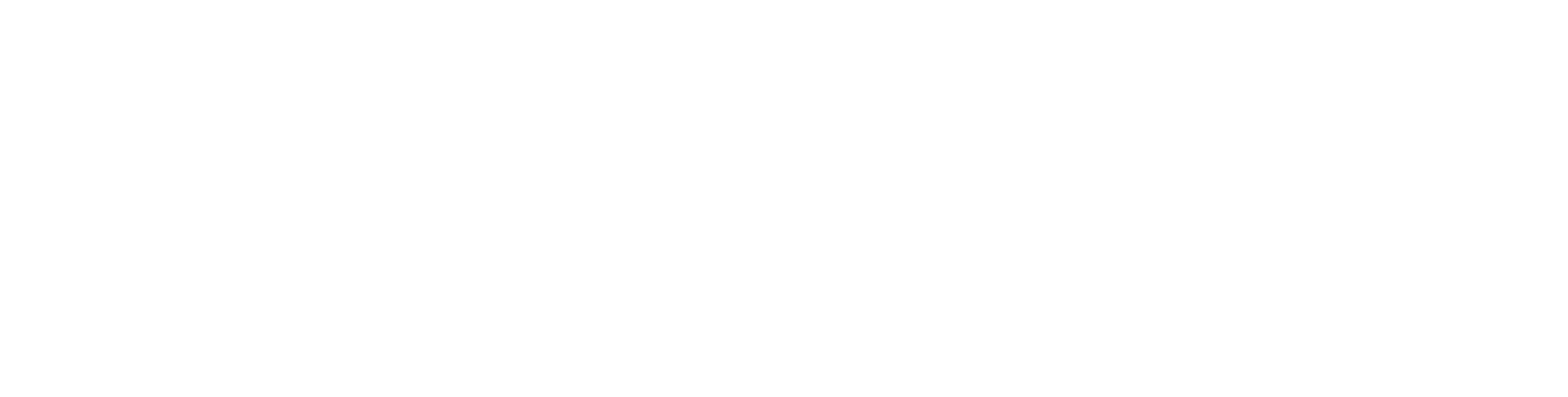Cruiser club partner logo