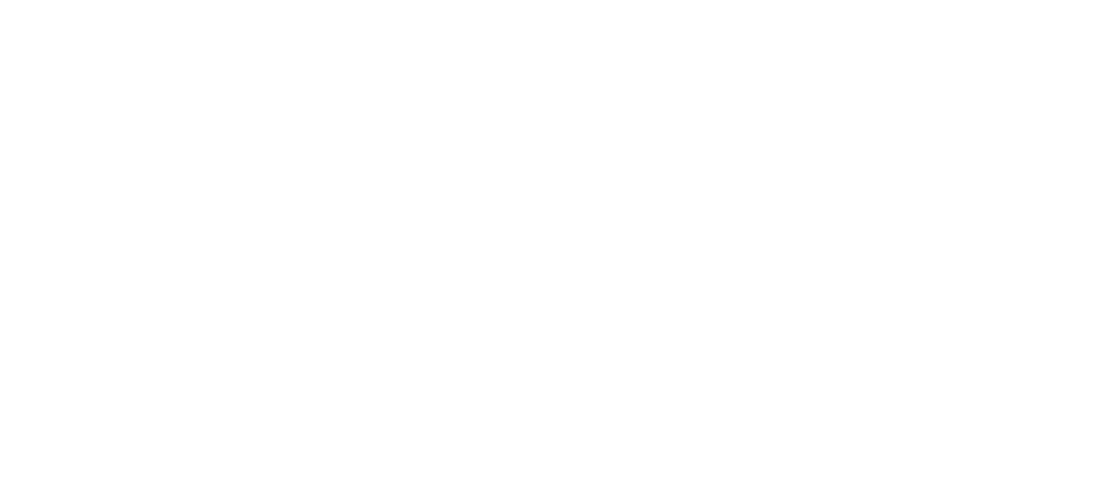Cruiser club partner logo